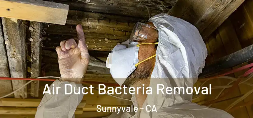Air Duct Bacteria Removal Sunnyvale - CA