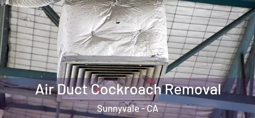 Air Duct Cockroach Removal Sunnyvale - CA