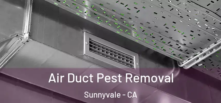 Air Duct Pest Removal Sunnyvale - CA
