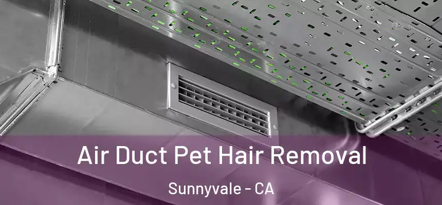 Air Duct Pet Hair Removal Sunnyvale - CA