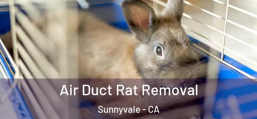 Air Duct Rat Removal Sunnyvale - CA