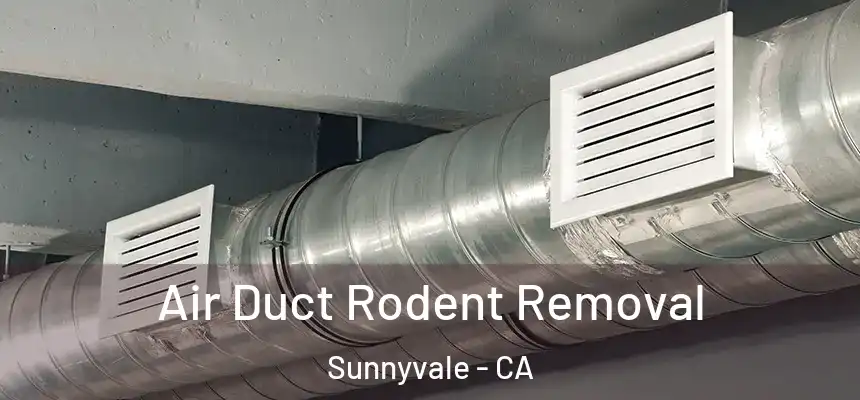 Air Duct Rodent Removal Sunnyvale - CA