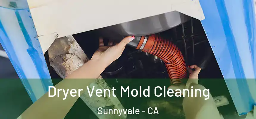 Dryer Vent Mold Cleaning Sunnyvale - CA