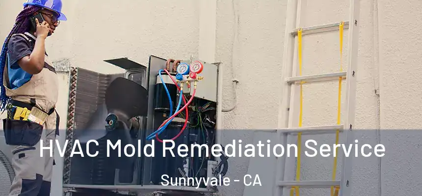 HVAC Mold Remediation Service Sunnyvale - CA