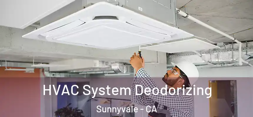 HVAC System Deodorizing Sunnyvale - CA