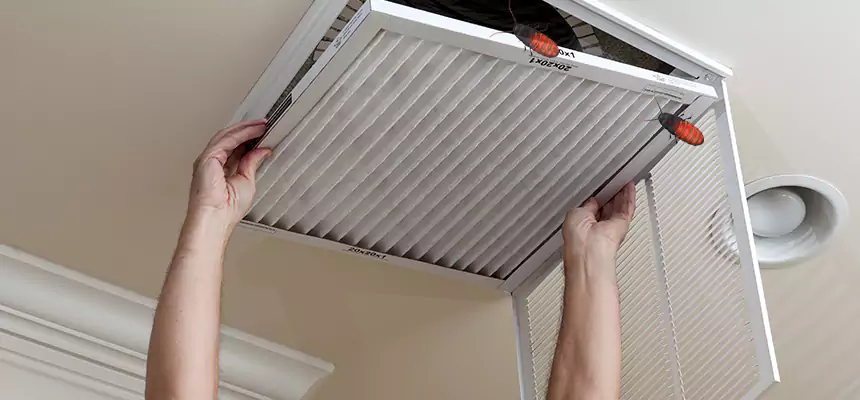 Preventive Cockroach-Proofing for Ducts in Sunnyvale