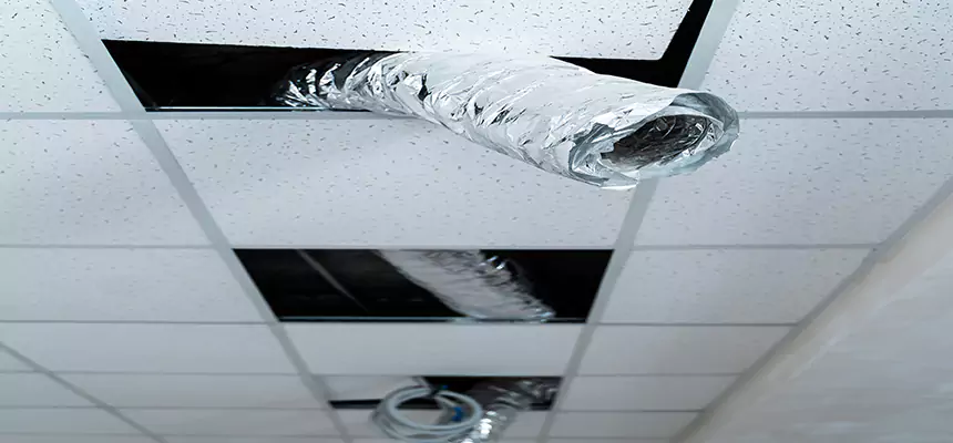 Affordable HVAC Sanitizing After Pest Removal in Sunnyvale