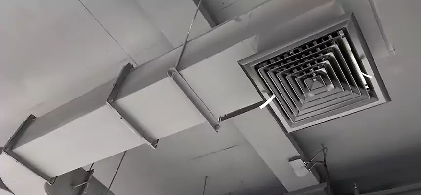 Restorative Allergy Relief Vent Cleaning – Coil, Blower & Housing Detail in Sunnyvale