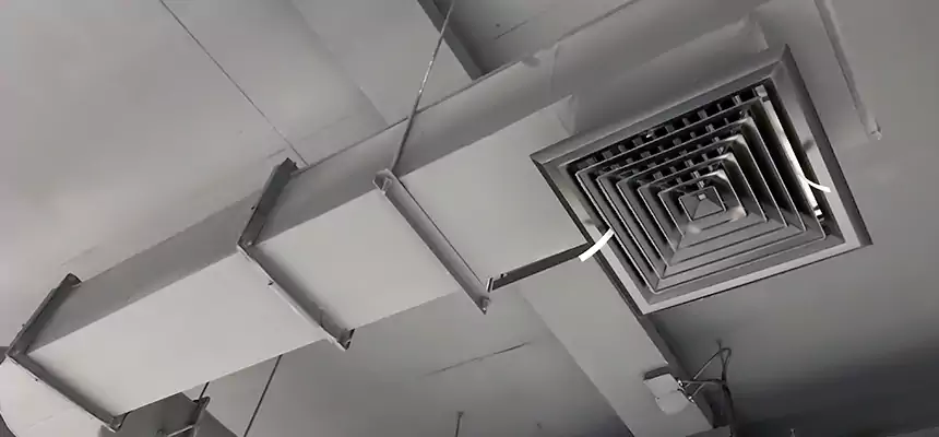 Our Pest Removal From Ducts Services in Sunnyvale, CA