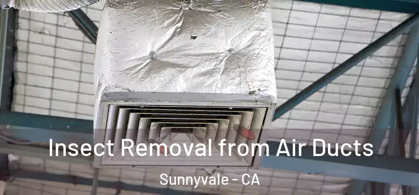 Insect Removal from Air Ducts Sunnyvale - CA