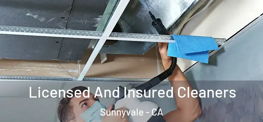 Licensed And Insured Cleaners Sunnyvale - CA