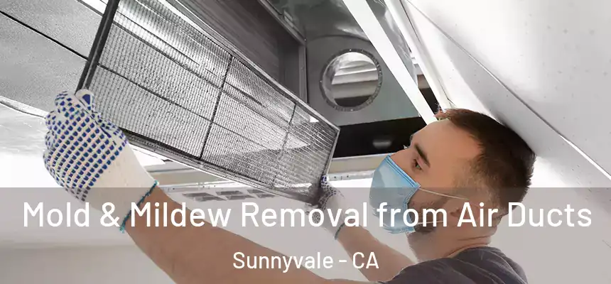 Mold & Mildew Removal from Air Ducts Sunnyvale - CA