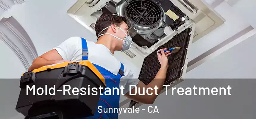 Mold-Resistant Duct Treatment Sunnyvale - CA