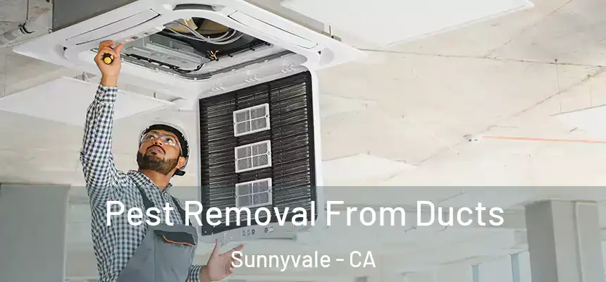 Pest Removal From Ducts Sunnyvale - CA