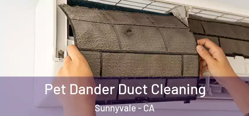 Pet Dander Duct Cleaning Sunnyvale - CA