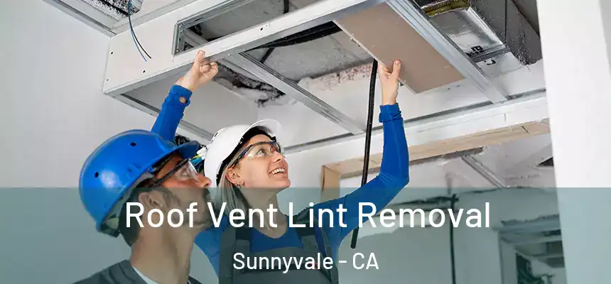 Roof Vent Lint Removal Sunnyvale - CA