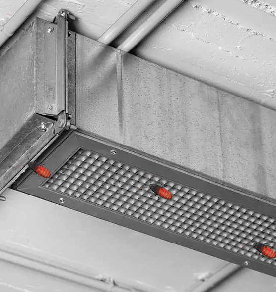 About Air Duct Cockroach Removal in Sunnyvale, CA