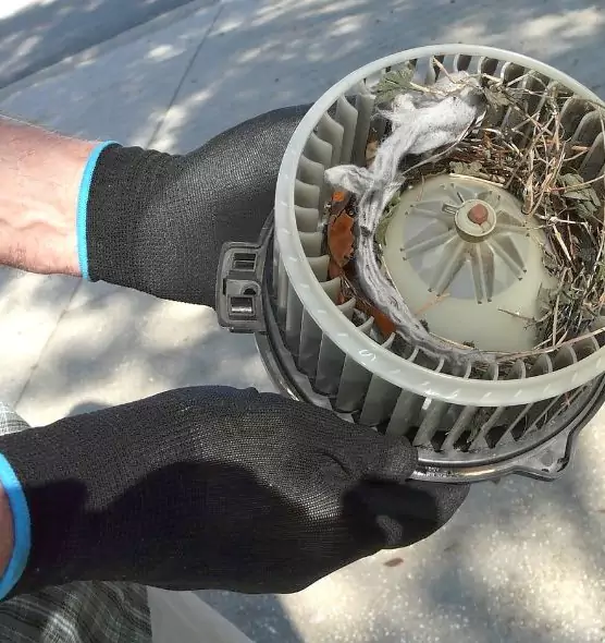 About Air Duct Mice Removal in Sunnyvale, CA