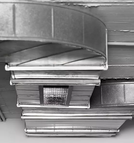 Professional Air Duct Pest Removal in Sunnyvale, CA