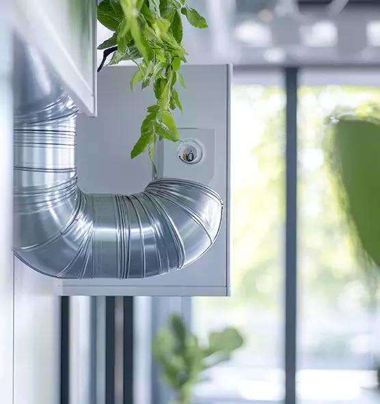 Professional Eco-Friendly Duct Cleaning Services in Sunnyvale, CA