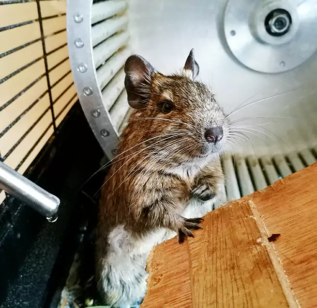 Why Homeowners & Businesses Trust Us Sunnyvale, CA?