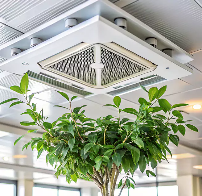 Why Homeowners & Businesses Trust Us in Sunnyvale, CA?