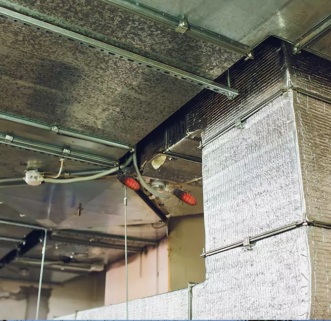 Why Homeowners & Businesses Trust Us Sunnyvale, CA?